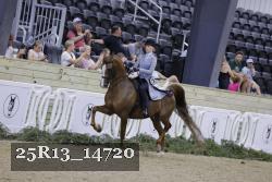 25R13_14720 thumbnail