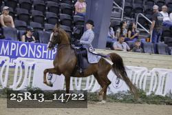 25R13_14722 thumbnail