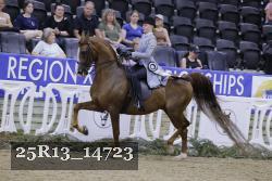 25R13_14723 thumbnail