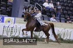 25R13_14727 thumbnail