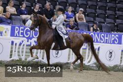 25R13_14729 thumbnail