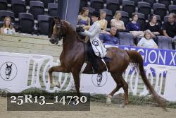 25R13_14730 thumbnail