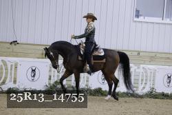 25R13_14755 thumbnail