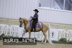 25R13_14764 thumbnail