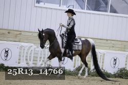 25R13_14766 thumbnail