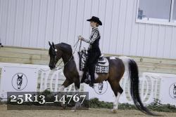 25R13_14767 thumbnail