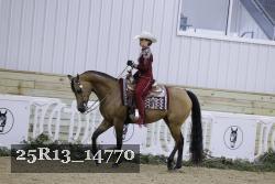 25R13_14770 thumbnail