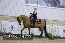 25R13_14772 thumbnail