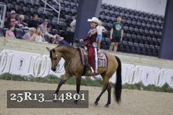 25R13_14801 thumbnail