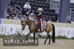 25R13_14803 thumbnail