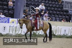 25R13_14804 thumbnail