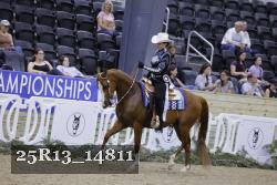 25R13_14811 thumbnail