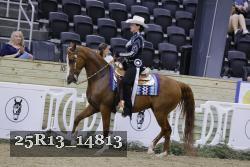25R13_14813 thumbnail