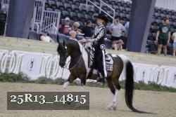 25R13_14815 thumbnail
