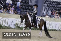 25R13_14816 thumbnail