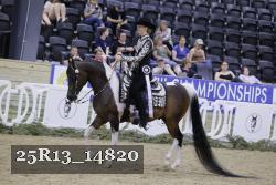 25R13_14820 thumbnail