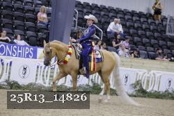 25R13_14826 thumbnail