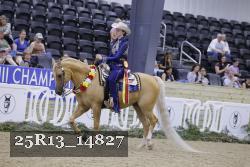 25R13_14827 thumbnail
