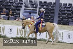 25R13_14831 thumbnail