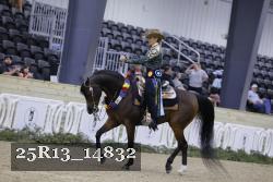 25R13_14832 thumbnail
