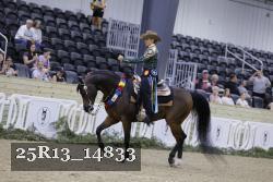 25R13_14833 thumbnail