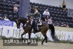 25R13_14835 thumbnail