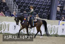 25R13_14837 thumbnail