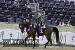 25R13_14838 thumbnail