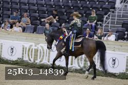 25R13_14839 thumbnail