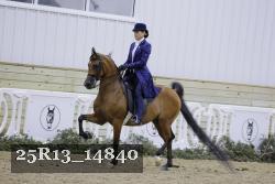 25R13_14840 thumbnail