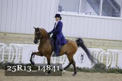 25R13_14841 thumbnail