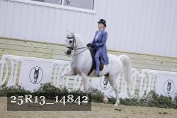25R13_14842 thumbnail