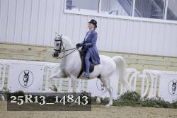 25R13_14843 thumbnail