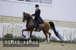 25R13_14844 thumbnail