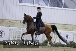 25R13_14845 thumbnail