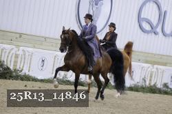 25R13_14846 thumbnail