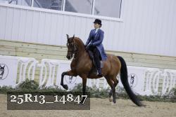 25R13_14847 thumbnail