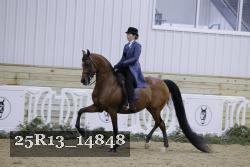25R13_14848 thumbnail