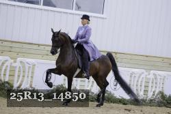 25R13_14850 thumbnail