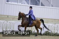 25R13_14851 thumbnail