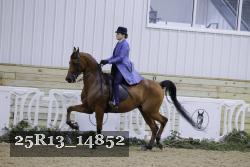 25R13_14852 thumbnail