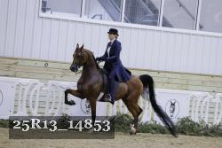 25R13_14853 thumbnail