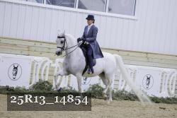 25R13_14854 thumbnail