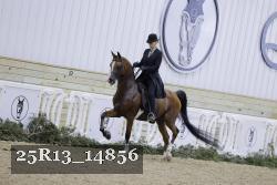 25R13_14856 thumbnail