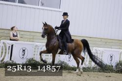25R13_14857 thumbnail