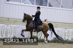 25R13_14858 thumbnail