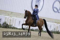 25R13_14859 thumbnail