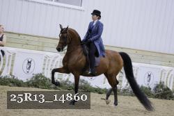 25R13_14860 thumbnail