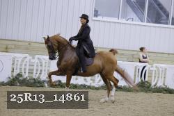 25R13_14861 thumbnail