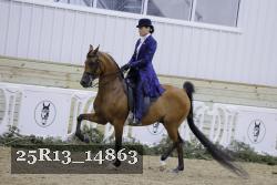 25R13_14863 thumbnail